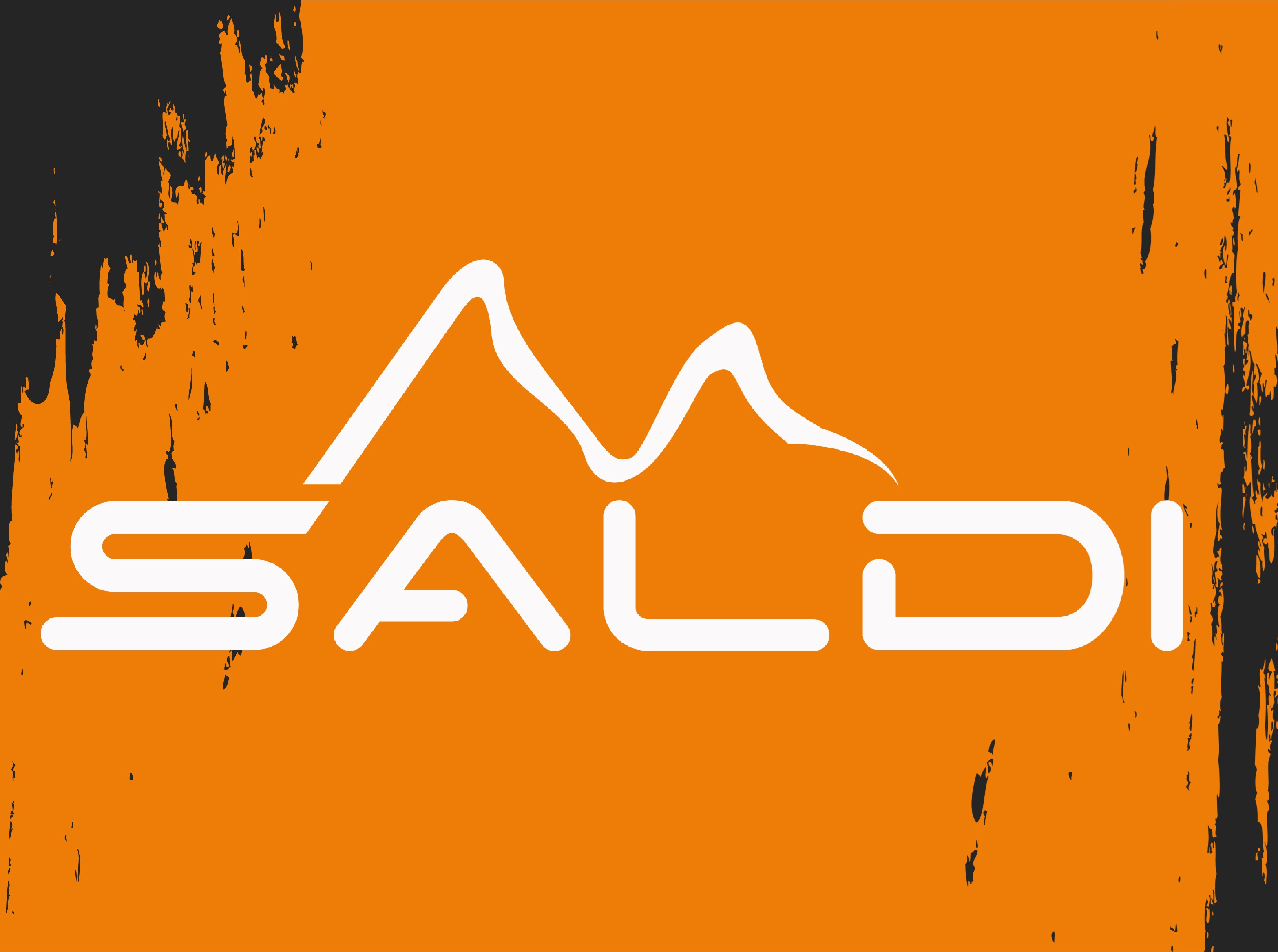 saldi.jpg