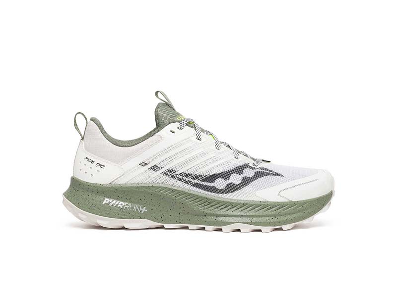 Guide 18 - Cloud Olive 